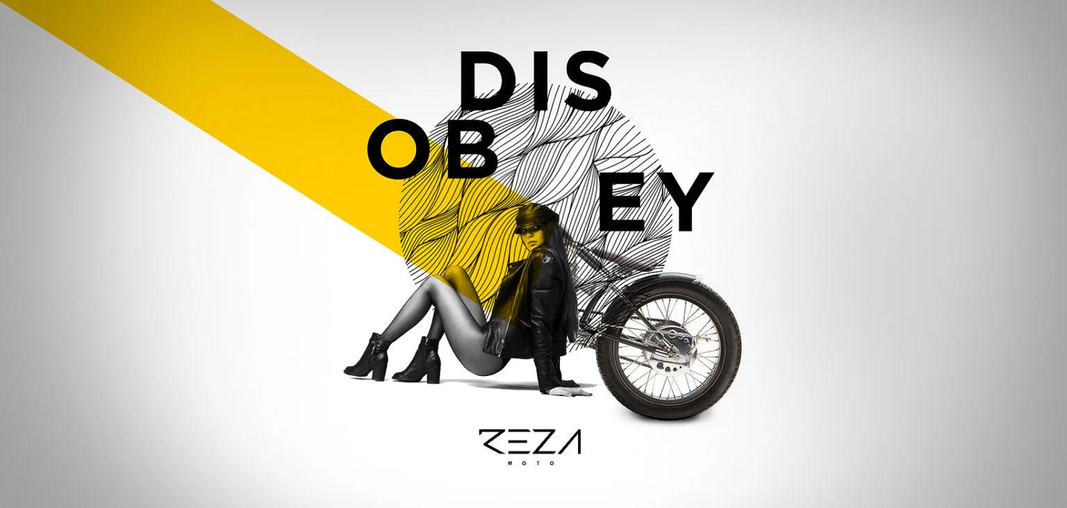 Reza Portfolio Header